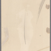 Woman's costume