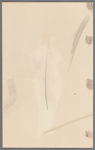 Woman's costume