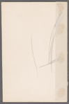 Woman's costume design and fabric pieces