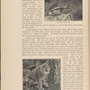 Natural history and photography, page 52