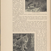 Natural history and photography