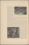 Natural history and photography