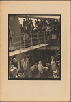 The Steerage