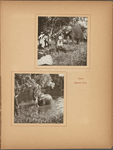 Slon, Tsarskoe Selo