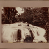 Llandovery Falls. St. Ann