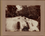 Llandovery Falls. St. Ann