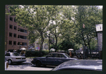 Block 347: Bayard Street between Baxter Street and Mulberry Street (south side)