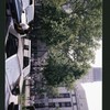 Block 347: Mulberry Street between Bayard Street and Worth Street (west side)