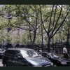 Block 347: Mulberry Street between Bayard Street and Worth Street (west side)