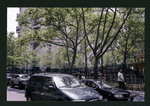 Block 347: Mulberry Street between Bayard Street and Worth Street (west side)