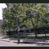 Block 347: Mulberry Street between Bayard Street and Worth Street (west side)