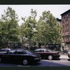 Block 347: Worth Street between Mulberry Street and Baxter Street (north side)