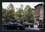 Block 347: Worth Street between Mulberry Street and Baxter Street (north side)