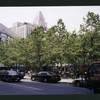 Block 347: Worth Street between Mulberry Street and Baxter Street (north side)
