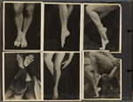 Five Photograph studies of Ted Shawn's legs and one of his hands