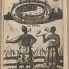 Casa de Nobili, Cavaliere, Dama