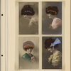 Album of European Export Real-Photo Novelty Postcards