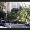 Block 359: Lafayette Street between White Street and Hogan Place (east side)