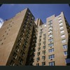 Block 361: Catherine Lane between Lafayette Street and Broadway (south side)