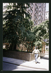 Block 365: Cortlandt Alley between Franklin Street and White Street (west side)