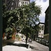 Block 365: Cortlandt Alley between Franklin Street and White Street (west side)