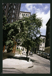 Block 365: Cortlandt Alley between Franklin Street and White Street (west side)