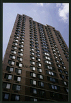 Block 365: White Street between Cortlandt Alley and Broadway (south side)