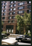 Block 365: White Street between Cortlandt Alley and Broadway (south side)