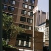 Block 365: White Street between Cortlandt Alley and Broadway (south side)