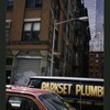 Block 366: White Street between Lafayette Street and Cortlandt Alley (south side)
