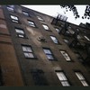 Block 366: Cortlandt Alley between White Street and Franklin Street (east side)