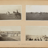 The horse show