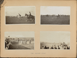 The horse show
