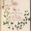 Words of Elizabeth Barrett Browning to Sophie M. Eckley, [Title page]