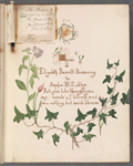 Words of Elizabeth Barrett Browning to Sophie M. Eckley