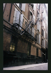 Block 368: Cortlandt Alley between Walker Street and White Street (east side)