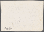 Unidentified portraits