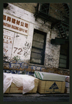 Block 370: Cortlandt Alley between Walker Street and Canal Street (west side)