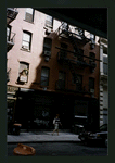 Block 374: Crosby Street between Broome Street and Grand Street (east side)