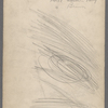 W. Singer-Columbia Y.C.