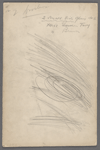 W. Singer-Columbia Y.C.