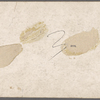 Pen and ink drawings for engravings for Tom Sawyer, True W. Williams.
