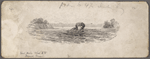 Pen and ink drawings for engravings for Tom Sawyer, True W. Williams.