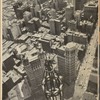 Looking down upon a forest of skyscrapers: New York City