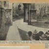 Flowers and shrubbery of Mrs. Cornelius Vanderbilt, Sr. 