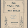 Hotel Schynige Platte und Hotel Bellevue