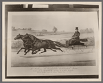 Mr. William H. Vanderbilt's celebrated team. Small Hopes and Lady Mac. Driven by their own to road wagon time 2:23.