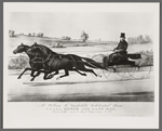 Mr. William H. Vanderbilt's celebrated team. Small Hopes and Lady Mac. Driven by their own to road wagon time 2:23.