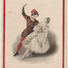 Signor Pugni's ballet Eoline ou La dryade. No. 2, Mazurka d'extâse.