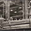 Construction worker, New York City